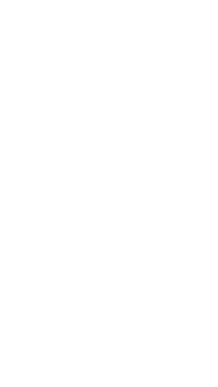 layer 1