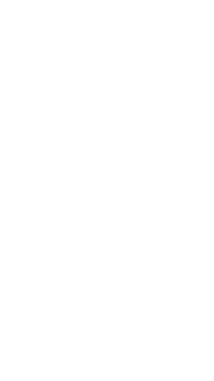 section2 layer 1